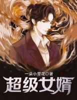 超級(jí)女婿