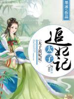 太子追妃記