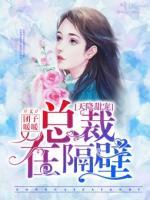天降甜寵：總裁在隔壁