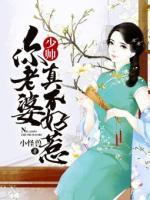 少帥，你老婆真不好惹