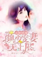 天降情緣：顏少寵妻無上限