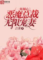 一見傾心：惡魔總裁無限寵妻