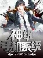 神級(jí)手機(jī)系統(tǒng)