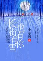長街有雪也有你