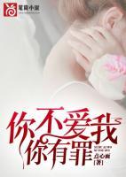 你不愛(ài)我，你有罪