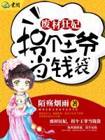 廢材狂妃，拐個(gè)王爺當(dāng)錢袋