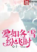 愛(ài)如冬雪紛飛時(shí)