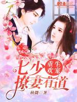 重生歡寵：七少撩妻有道