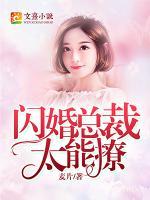 閃婚總裁太能撩