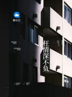 枉情深不負(fù)