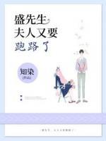 盛先生，夫人又要跑路了