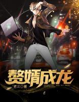 贅婿成龍
