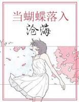 當蝴蝶落入滄海