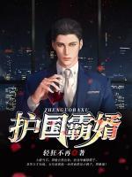 護國霸婿