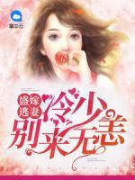 盛嫁逃妻：冷少別來無恙
