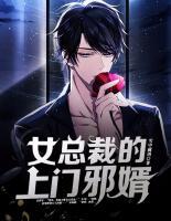 女總裁的上門邪婿