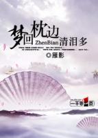 夢回枕邊清淚多