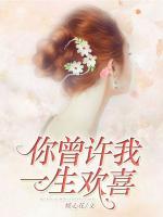你曾許我一生歡喜