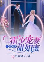 一胎雙寶：霍少寵妻甜如蜜