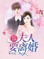 報(bào)告總裁，夫人要離婚！