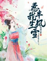 惹我半生風(fēng)雪
