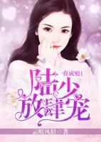 一夜成癮：陸少，放肆寵
