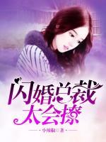 閃婚總裁太會撩