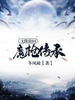 無(wú)限輪回：魔槍傳承
