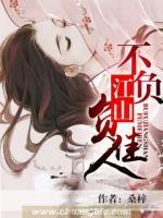 不負(fù)江山負(fù)佳人