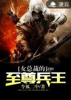 女總裁的至尊兵王