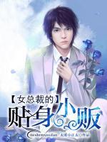 女總裁的貼身小販