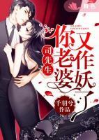 司先生，你老婆又作妖了