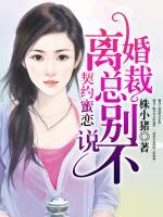 契約蜜戀：離婚總裁別說(shuō)不