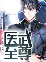醫(yī)武至尊
