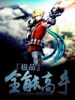 極品全能高手