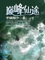 巔峰仙途