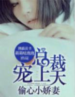 偷心小嬌妻：總裁寵上天