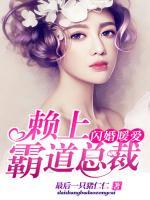 閃婚暖愛：賴上霸道總裁