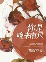 你是晚來南風