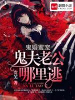 鬼婚蜜寵：鬼夫老公哪里逃
