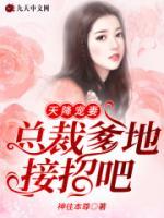 天降寵妻：總裁爹地接招吧