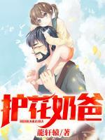 護(hù)花奶爸