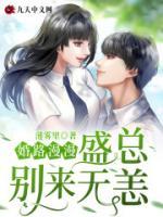 婚路漫漫：盛總，別來(lái)無(wú)恙