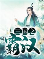 三國之霸漢