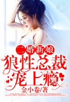 二婚新娘：狼性總裁寵上癮