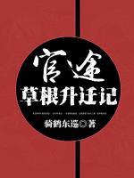 官途：草根升遷記