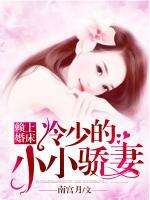 賴上婚床：冷少的小小驕妻
