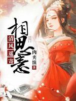 清風(fēng)遙寄相思意