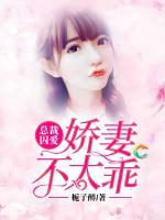 總裁囚愛：嬌妻不太乖