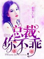 總裁你不乖